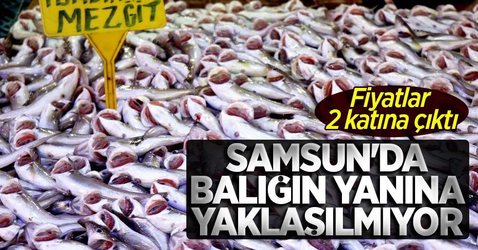 Samsun'da balığın yanına yaklaşılmıyor! Fiyatlar 2 katına çıktı
