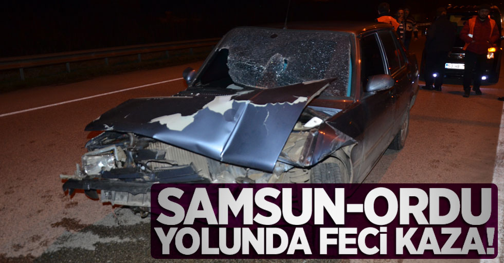 Samsun-Ordu yolunda feci kaza! 1 yaralı