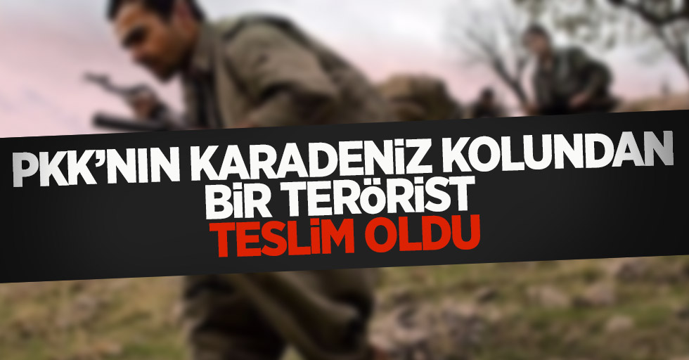 PKK'nın karadeniz kolundan bir terörist teslim oldu
