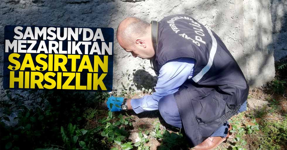 Samsun'da mezarlıktan şaşırtan hırsızlık