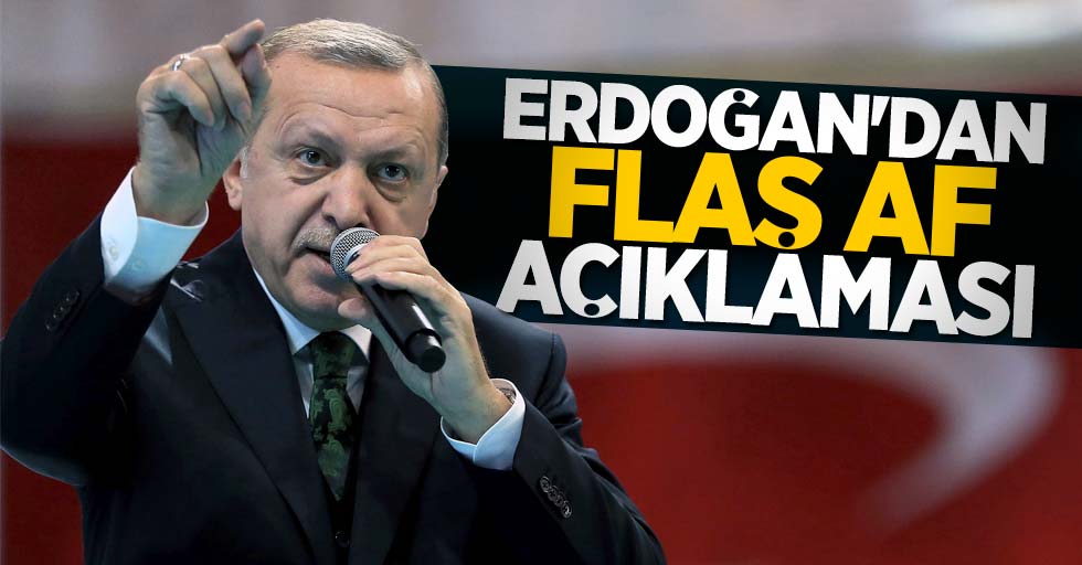Cumhurbaşkanı Erdoğan'dan flaş af açıklaması