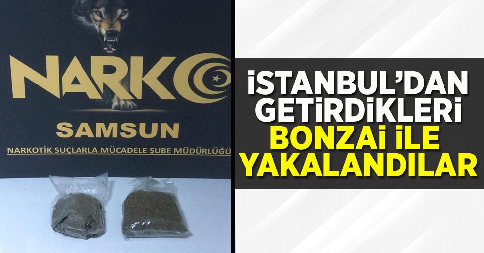İstanbul'dan getirdikleri bonzai ile yakalandılar 