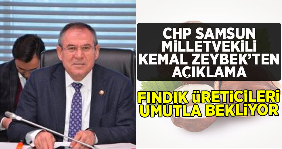 CHP Samsun Milletvekili Kemal Zeybek'ten Fındık Açıklaması