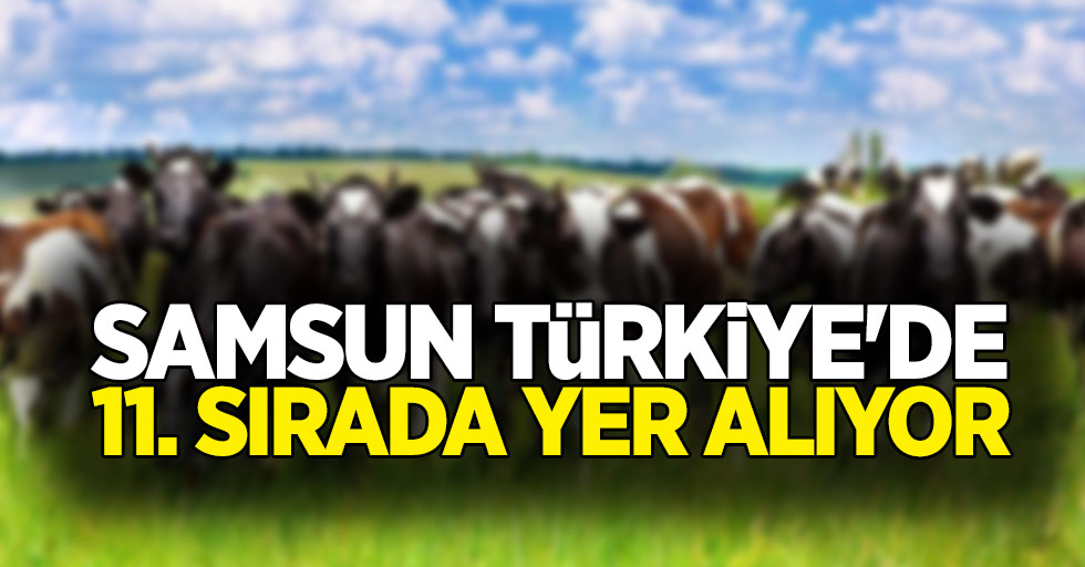 Samsun, Türkiye'de 11. sırada yer alıyor