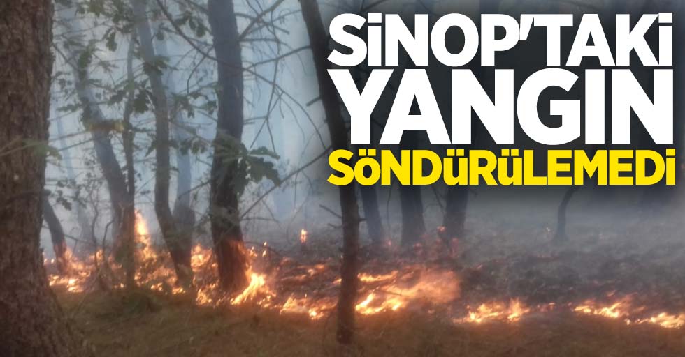 Sinop’taki Yangın Söndürülemedi
