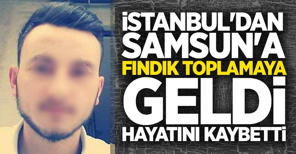 İstanbul'dan Samsun'a fındık toplamaya geldi hayatını kaybetti