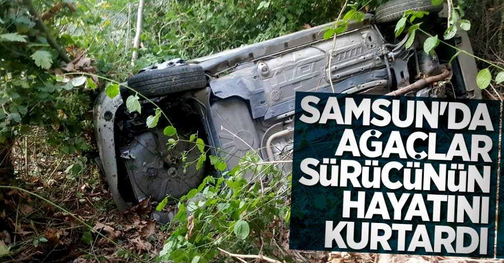 Samsun'da ağaçlar sürücünün hayatını kurtardı! 