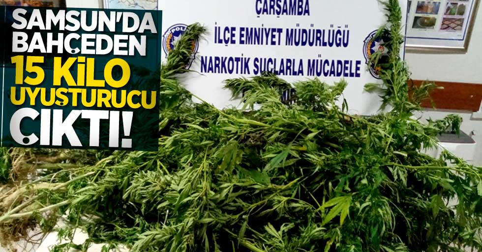 Samsun'da bahçeden 15 kilo uyuşturucu çıktı