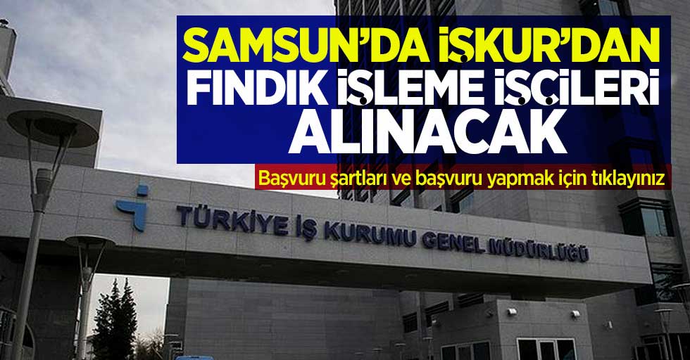 Samsun'da İŞKUR'dan fındık işleme işçileri alınacak