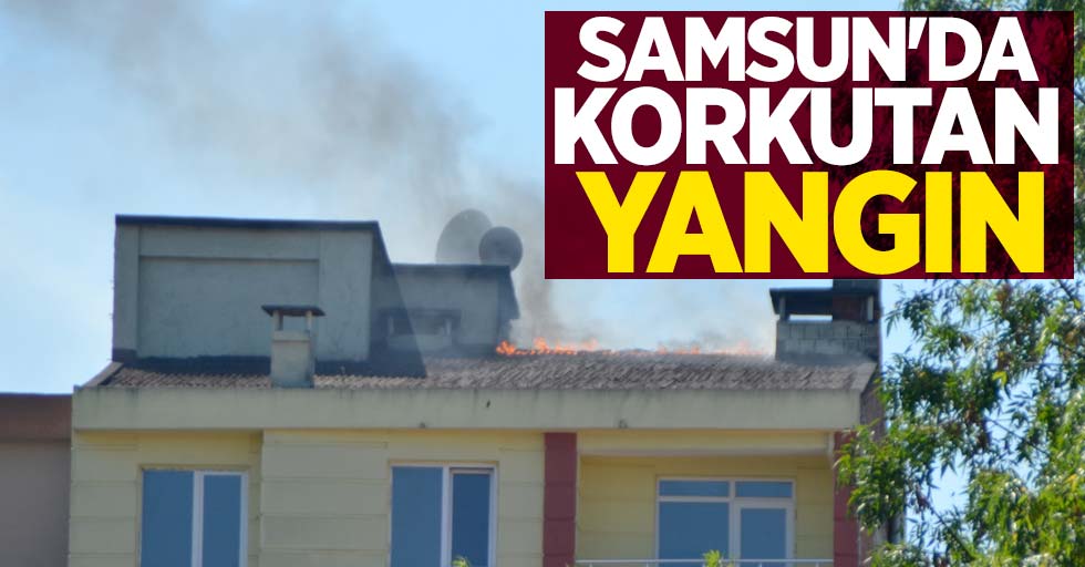 Samsun'da korkutan  yangın