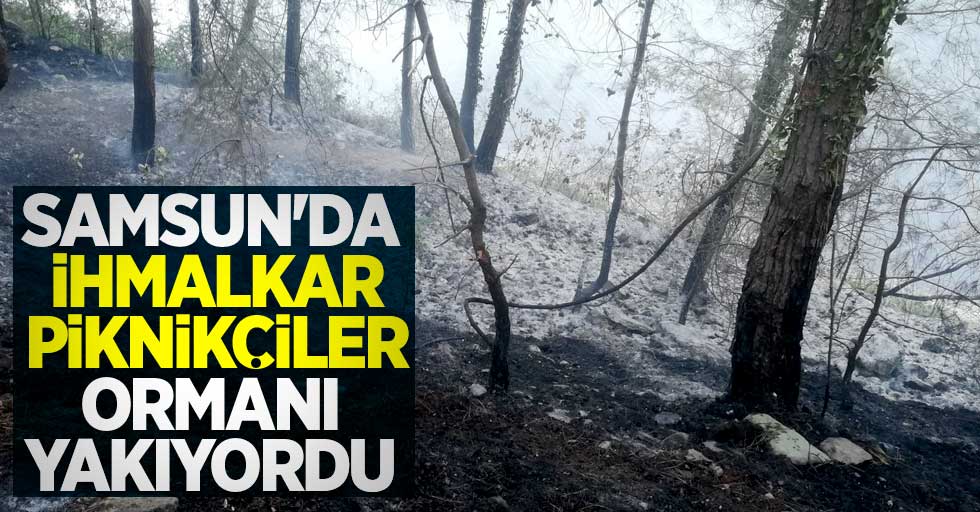 Samsun'da ormanlık alanda yangın! 