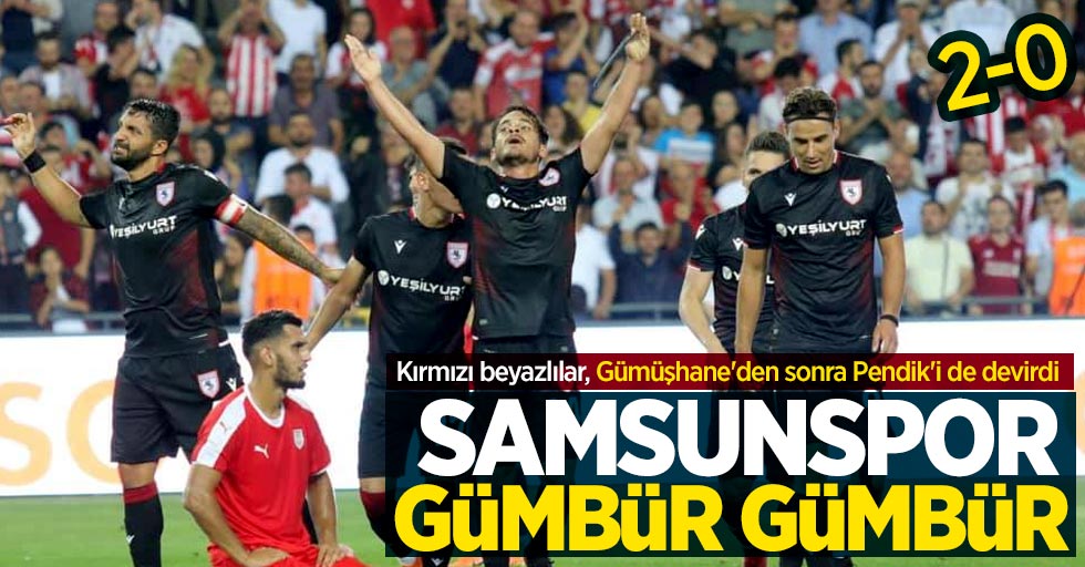 Samsunspor-Pendikspor maç sonucu: Samsunspor 2 Pendikspor 0