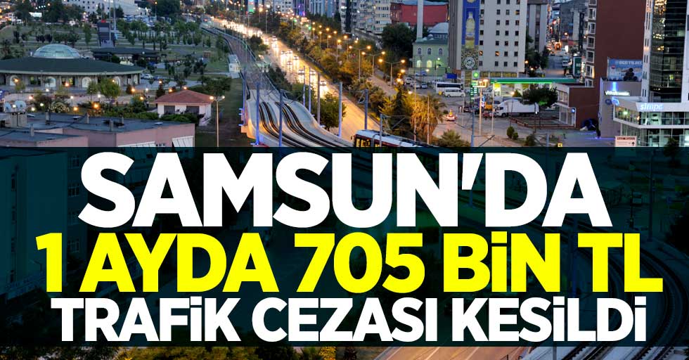 Samsun'da 1 ayda 705 bin TL trafik cezası kesildi