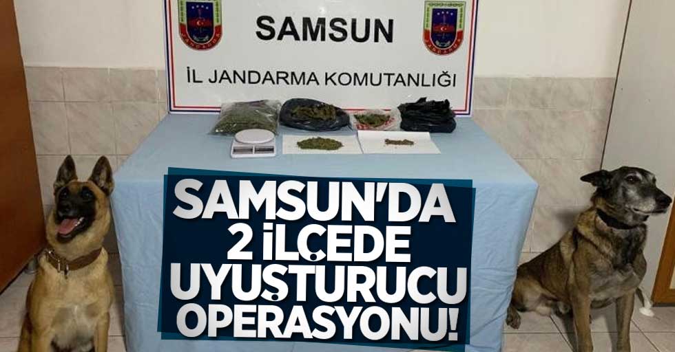 Samsun'da 2 ilçede uyuşturucu operasyonu! 1 gözaltı
