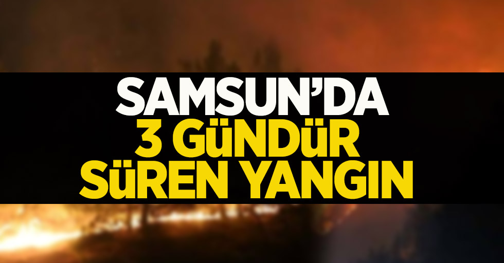 Samsun'da 3 gündür sönmeyen yangın