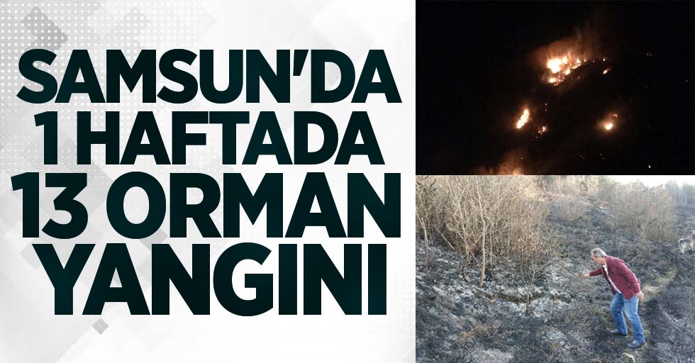 Samsun'da 1 haftada 13 orman yangını