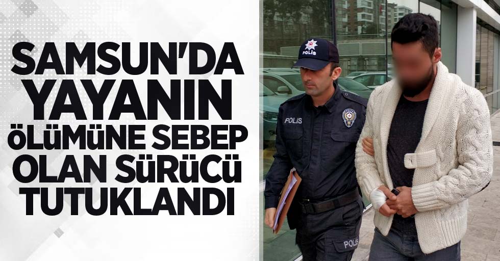 Samsun'da yayanın ölümüne sebep olan sürücü tutuklandı