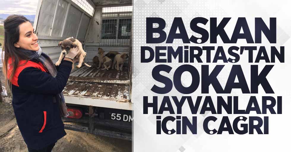 Başkan Demirtaş’tan sokak hayvanları için çağrı