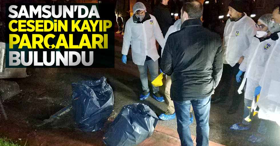 Samsun'da cesedin kayıp parçaları bulundu