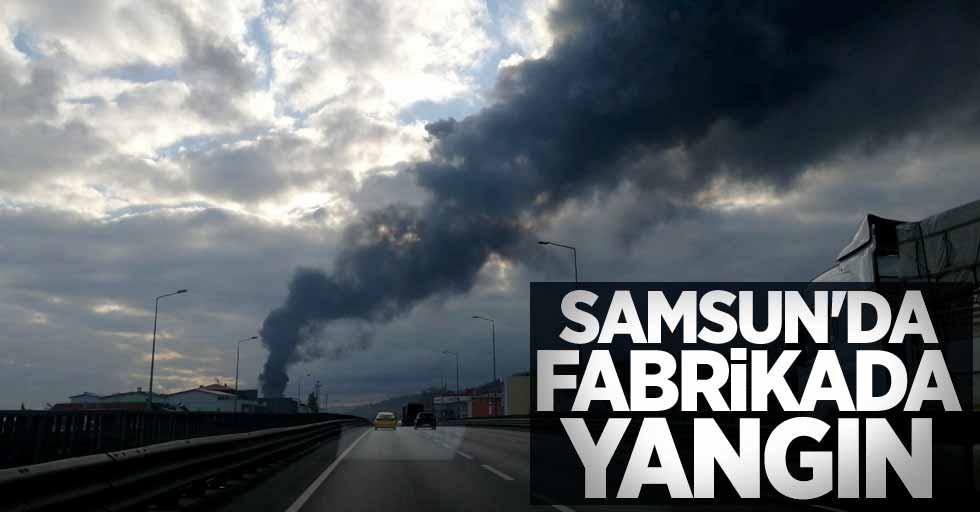 Samsun'da fabrikada yangın