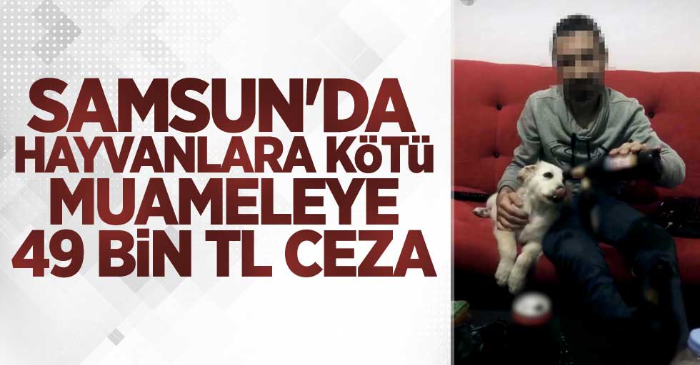 Samsun'da hayvanlara kötü muameleye 49 bin TL ceza