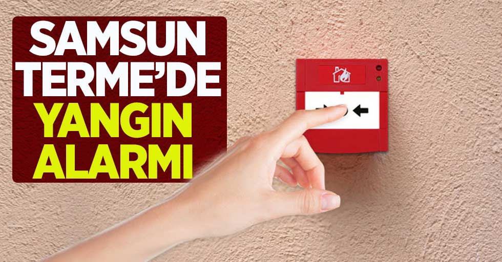 Samsun Terme'de yangın alarmı