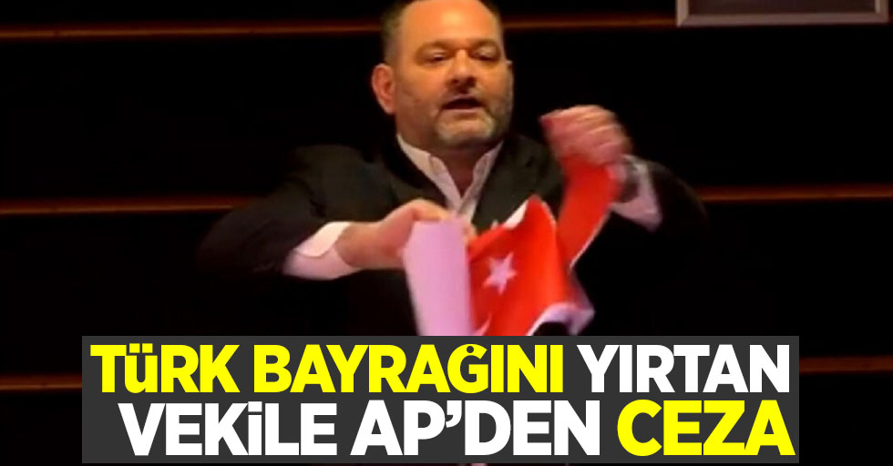 Türk bayrağını yırtan vekile AP'den ceza
