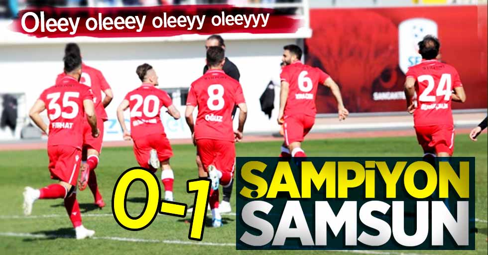 Maç sonucu: Sancaktepe 0-1 Samsunspor