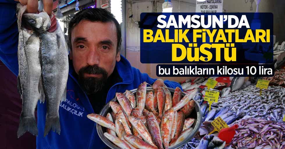 Samsun'da bu balıkların kilosu 10 lira