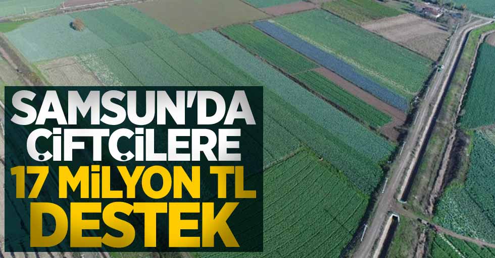 Samsun'da çiftçilere 17 milyon TL destek