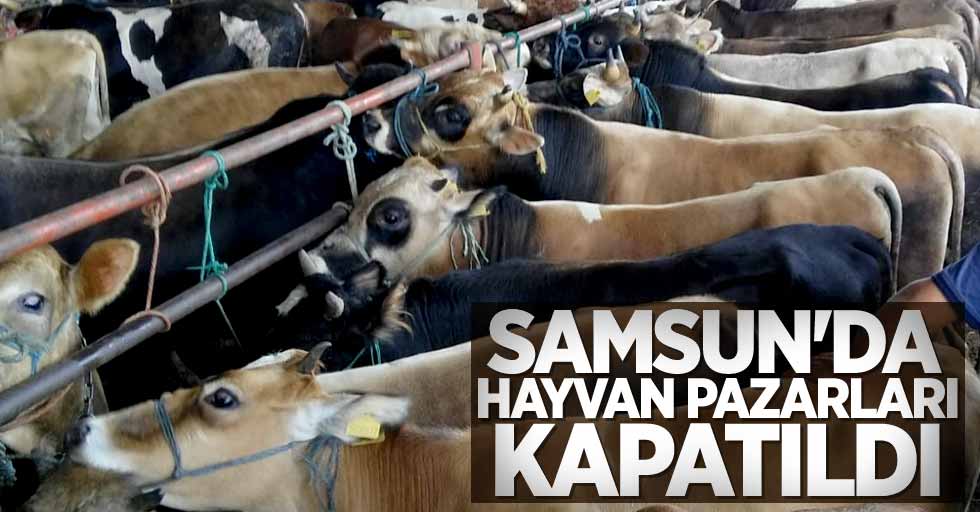 Samsun'da hayvan pazarları kapatıldı