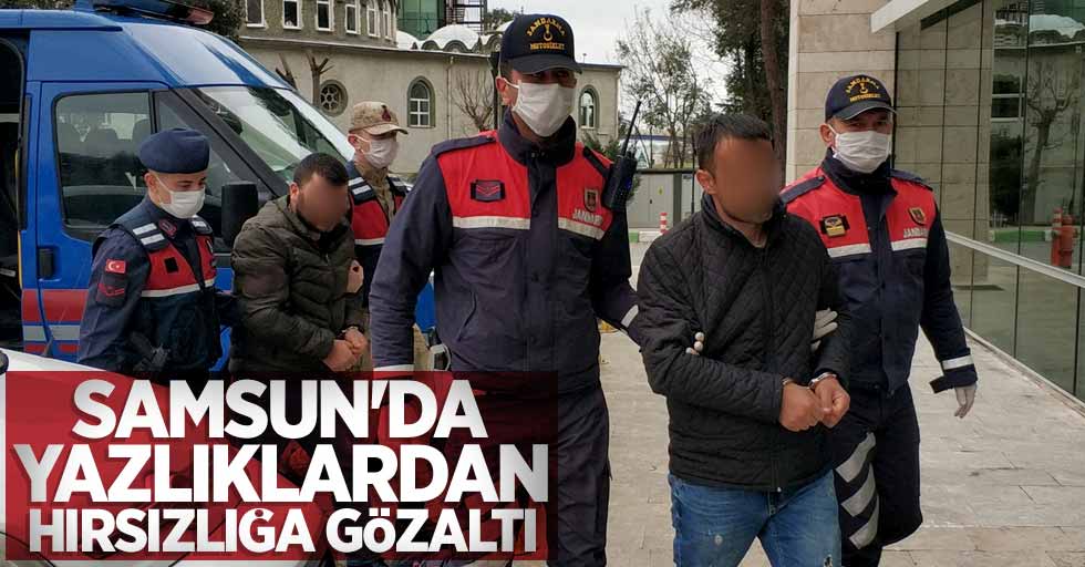 Samsun'da yazlıklardan hırsızlığa gözaltı