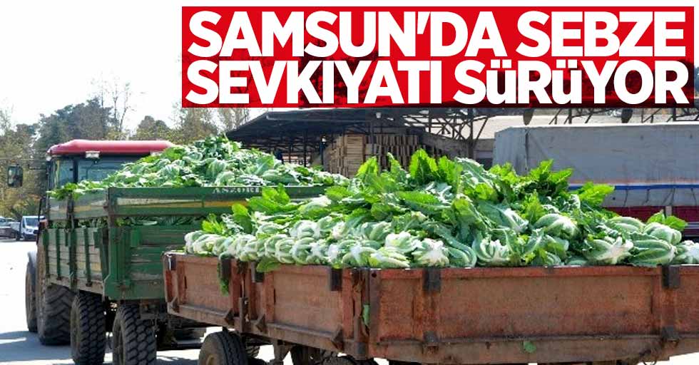 Samsun'da sebze sevkıyatı sürüyor