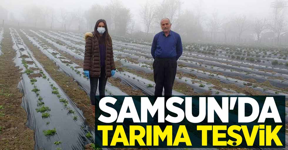 Samsun'da tarıma teşvik