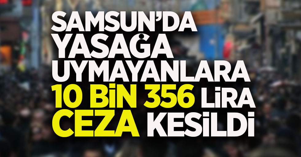 Samsun'da yasağa uymayanlara 10 bin 356 lira ceza kesildi