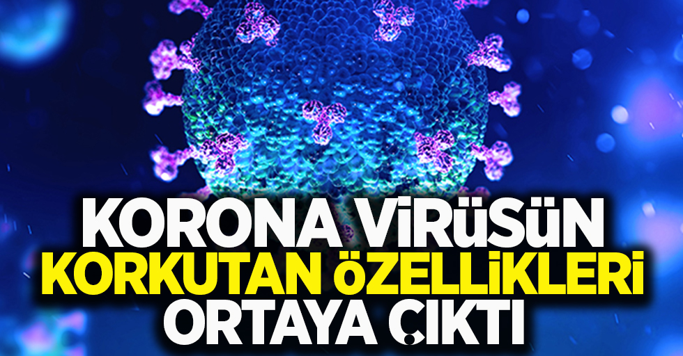 Korona virüsün korkutan özellikleri ortaya çıktı