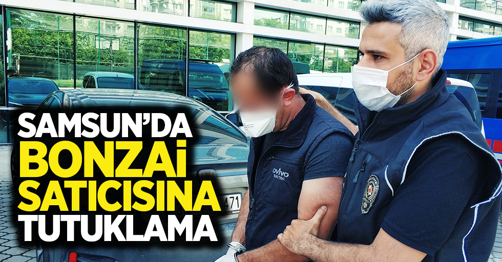 Samsun'da bonzai satıcısına tutuklama
