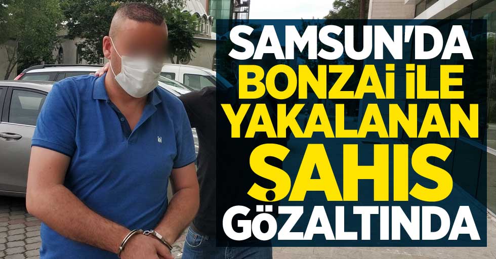 Samsun'da bonzai ile yakalanan şahıs gözaltına alındı