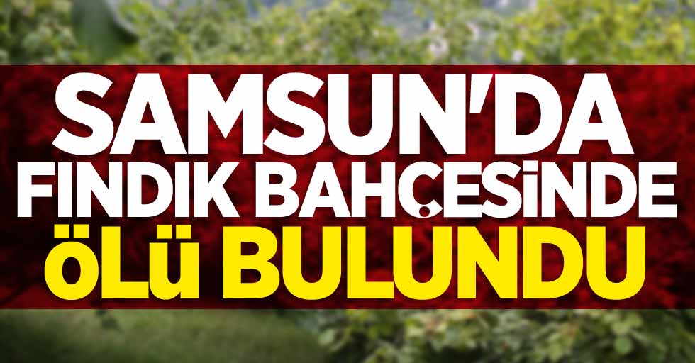 Samsun'da fındık bahçesinde ölü bulundu