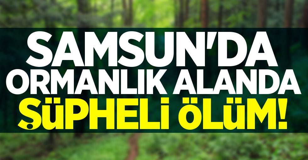 Samsun'da ormanlık alanda şüpheli ölüm!