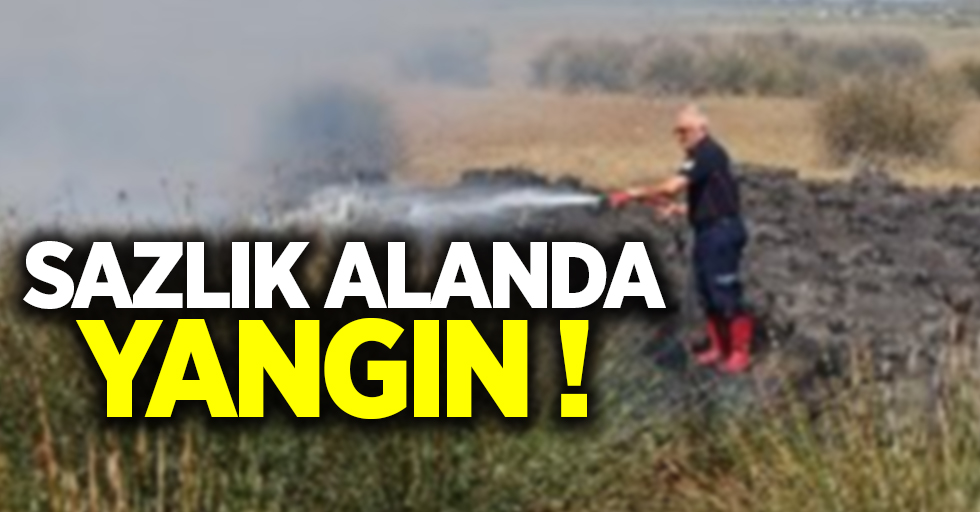 Samsun'da sazlık alanda yangın