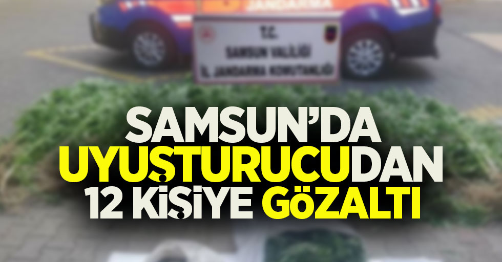 Samsun'da uyuşturucudan 12 kişiye gözaltı
