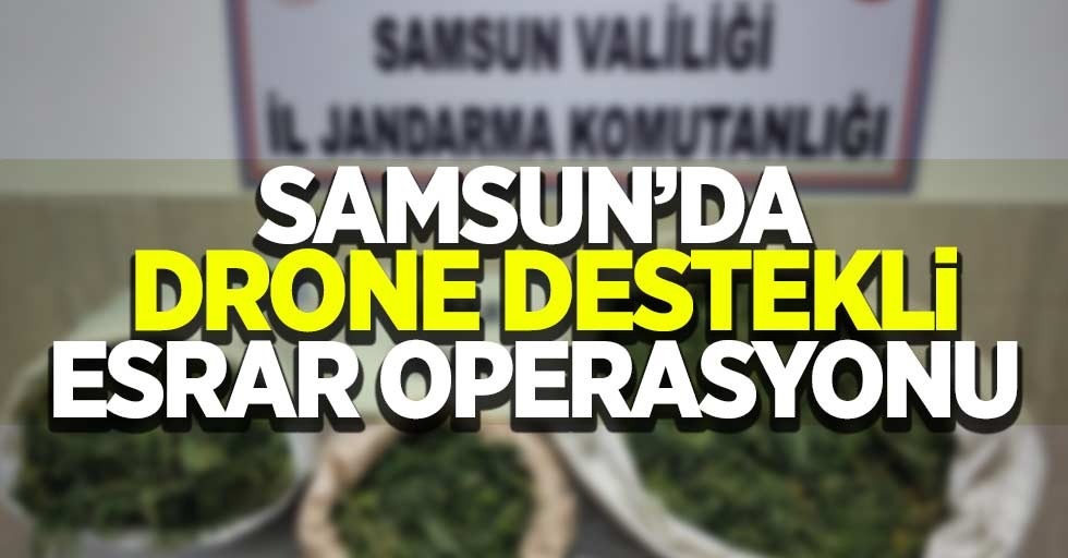 Samsun'da drone destekli büyük esrar operasyonu
