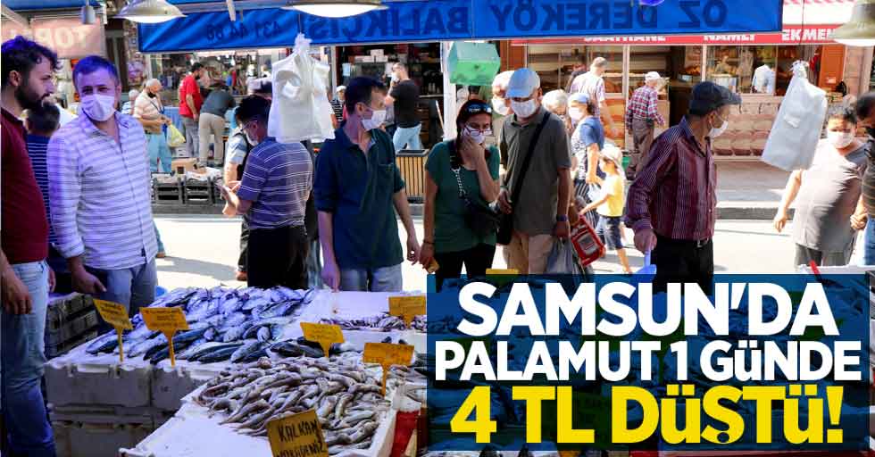 Samsun'da palamut 1 günde 4 TL düştü