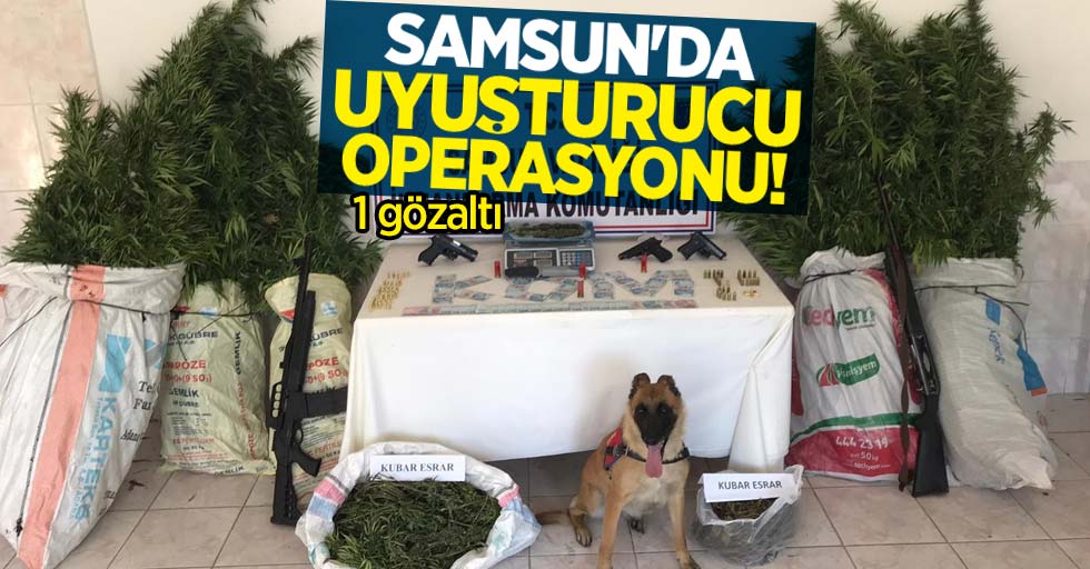 Samsun'da uyuşturucu opersayonu: 1 gözaltı