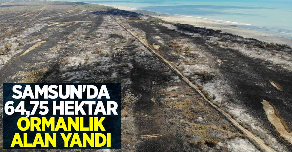 Samsun'da 64,75 hektar ormanlık alan yandı
