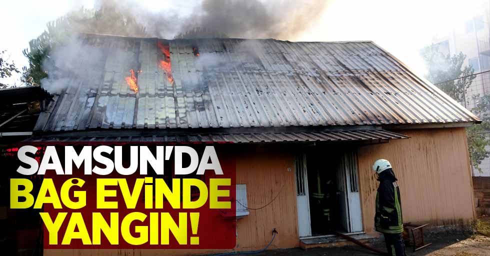 Samsun'da bağ evinde yangın!