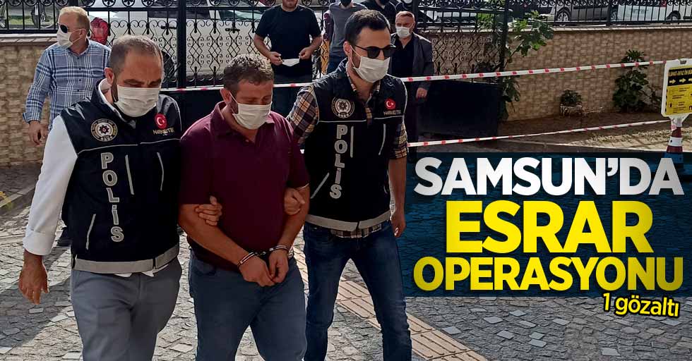 Samsun'da esrar operasyonu: 1 gözaltı