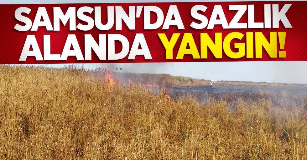 Samsun'da sazlık alanda yangın