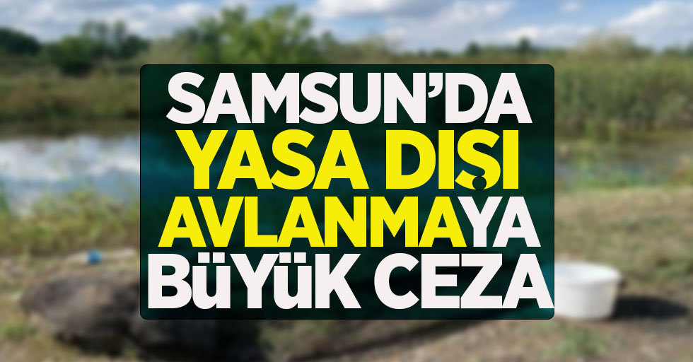 Samsun'da yasadışı avlanmaya büyük ceza!